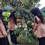 Inovasi sebagai Penilaian Penting dalam Pembinaan Sekolah Adiwiyata