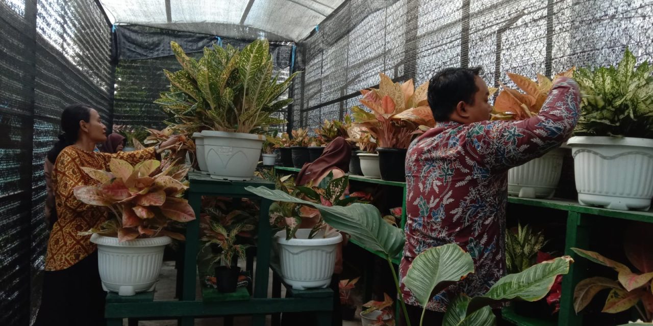 Merawat Tanaman: Sebuah Latihan Kesabaran yang Berbuah Keindahan