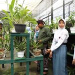 Membangun Ekosistem Ideal: Sekolah Adiwiyata sebagai Laboratorium Lingkungan Hidup