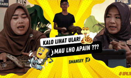 Dari Desisan Jadi Sahabat Karib: Rahasia Menjinakkan Ular