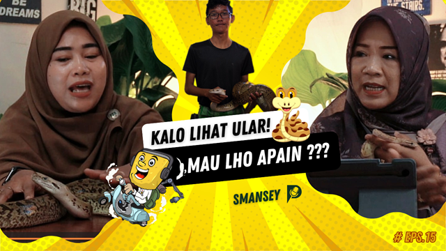 Dari Desisan Jadi Sahabat Karib: Rahasia Menjinakkan Ular
