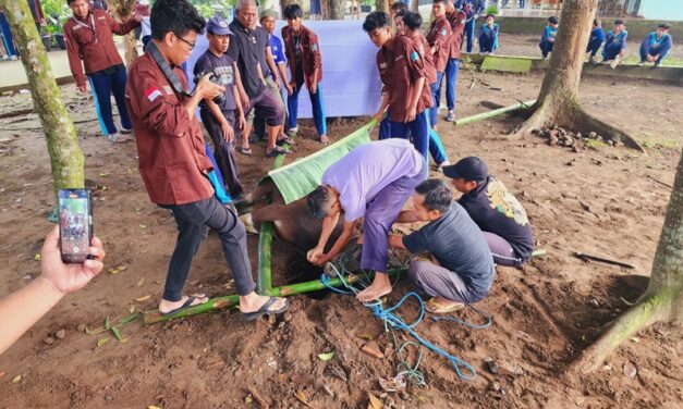 Memilih Hewan Kurban Terbaik untuk Idul Adha: Panduan Lengkap