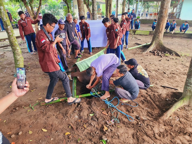Memilih Hewan Kurban Terbaik untuk Idul Adha: Panduan Lengkap