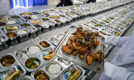 Program Makan Bergizi Gratis dari Pemerintah: Tinjauan dan Harapan