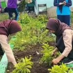 Hijaukan Sekolah, Sehatkan Siswa: Green Club SMAN 1 Seyegan Gencarkan Penanaman Tanaman TOGA
