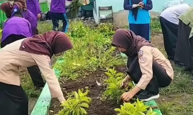 Hijaukan Sekolah, Sehatkan Siswa: Green Club SMAN 1 Seyegan Gencarkan Penanaman Tanaman TOGA