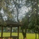 Menelusuri Tanaman Langka Khas Yogyakarta yang Penuh Filosofi