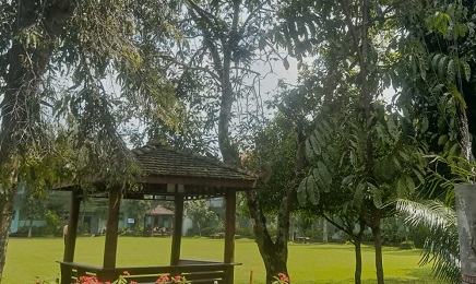 Menelusuri Tanaman Langka Khas Yogyakarta yang Penuh Filosofi