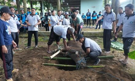 Tanamkan Jiwa Kepedulian, SMAN 1 Seyegan Gelar Penyembelihan Hewan Kurban di Idul adha 1447 H