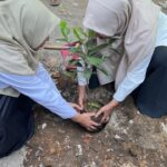 Aksi Nyata Green Club SMAN 1 Seyegan: Rayakan Hari Ozon Sedunia Lewat Penanaman Bibit di Sekolah Dasar