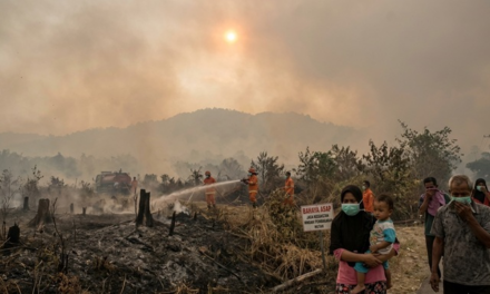 Racun di Udara: Bahaya Terselubung Asap Pembakaran Hutan bagi Kesehatan dan Lingkungan