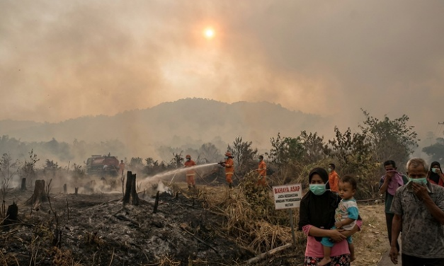 Racun di Udara: Bahaya Terselubung Asap Pembakaran Hutan bagi Kesehatan dan Lingkungan